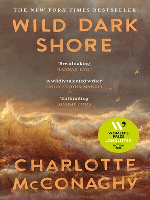 cover image of Wild Dark Shore